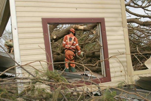 How Our Tree Care Process Works  in  Mount Vernon, MD